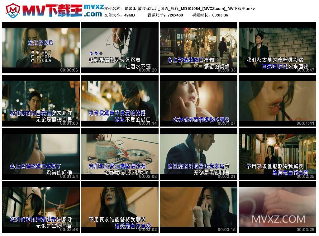 崔馨禾-放过你以后_国语_流行_MD102084